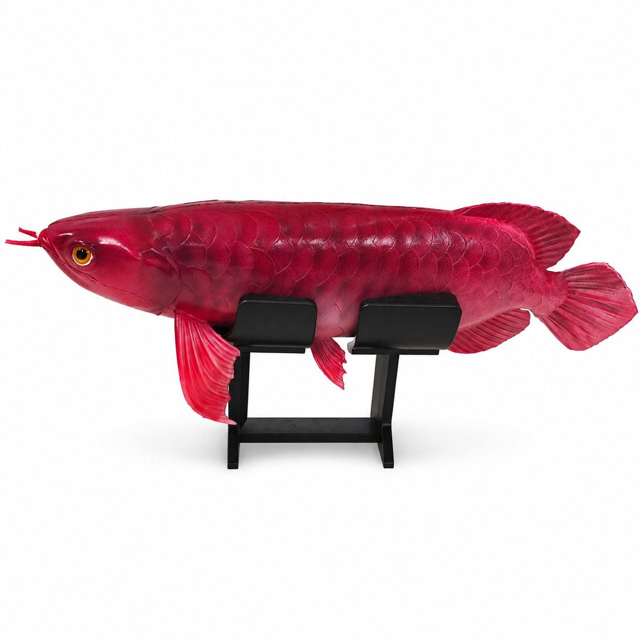 Y-Fin participates in aquarium exhibitions